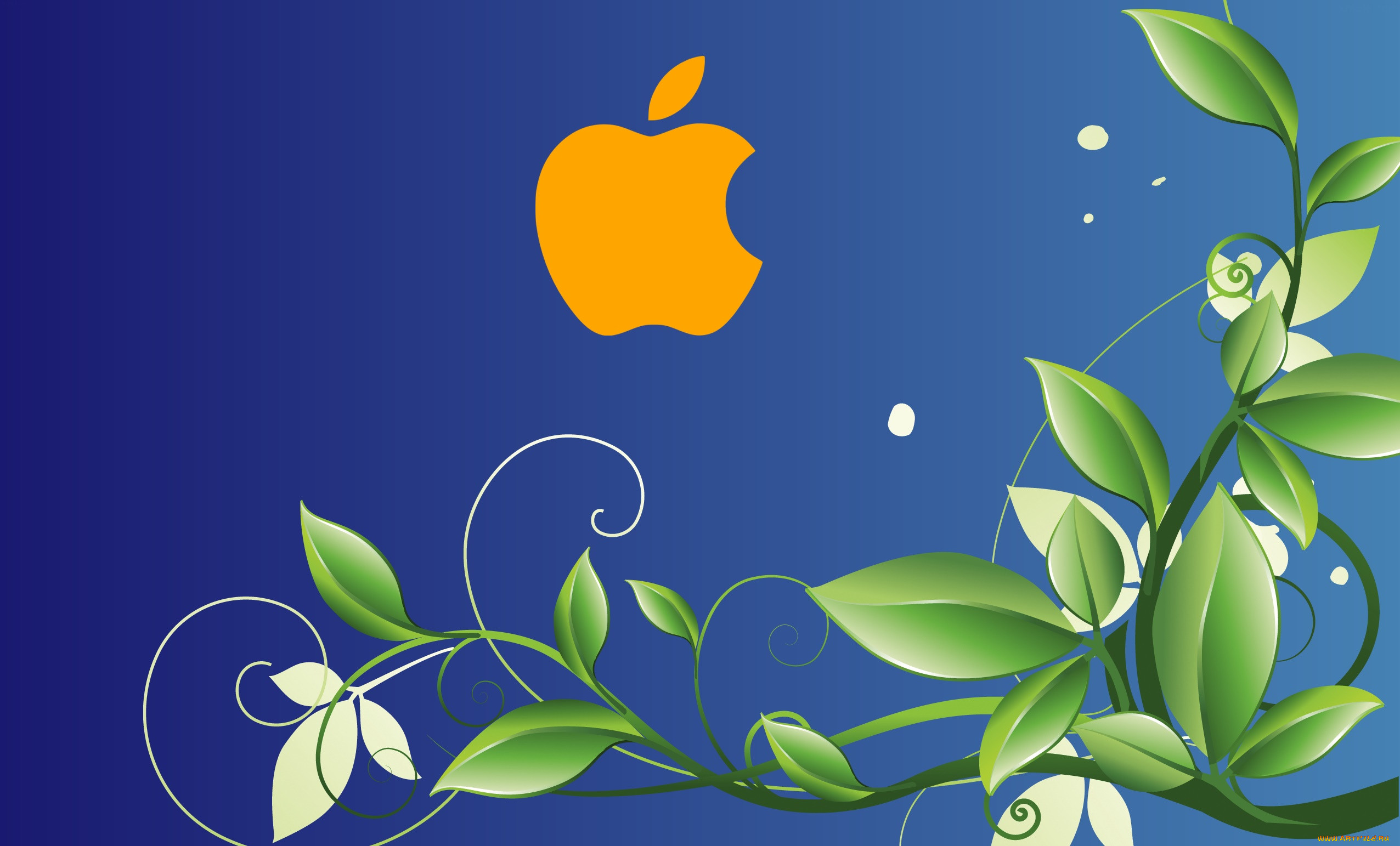 , apple, , 